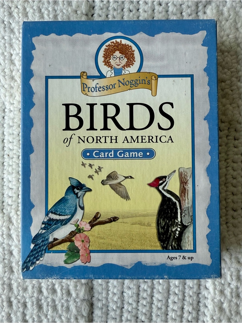 Professor Noggin's Birds of North America Card Game